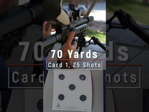 Video post from airgunsofarizona.