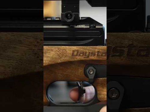 Video post from airgunsofarizona.