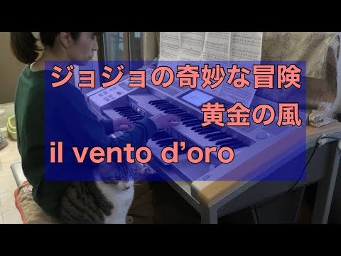 Video post from sayaka040.