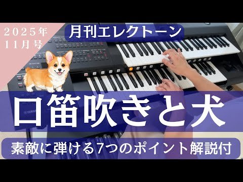 Video post from 大人のエレクトーン　横山記代.