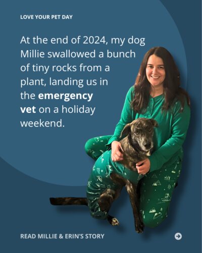 Carousel post from Unum.