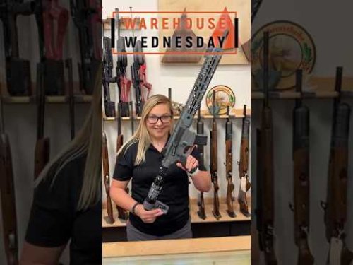 Video post from airgunsofarizona.