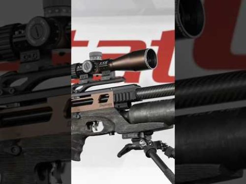 Video post from airgunsofarizona.