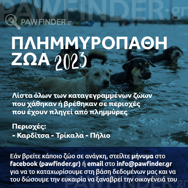 Album cover photo from ΠΛΗΜΜΥΡΟΠΑΘΗ ΖΩΑ 2023.