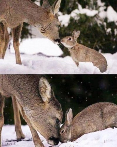 Photo post from Rise - Women Empowerment.