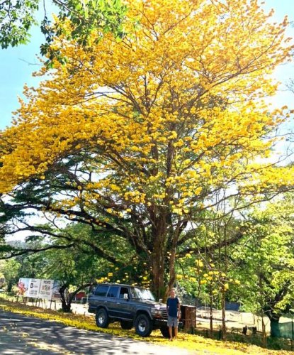 Photo post from Juan.