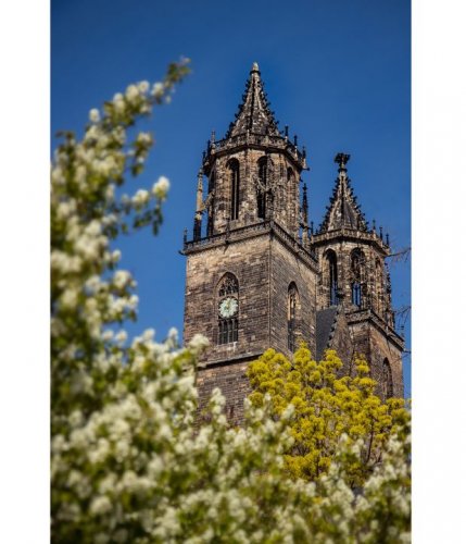 Photo post from Tourist-Information Magdeburg.