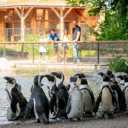 Photo post from Tourist-Information Magdeburg.