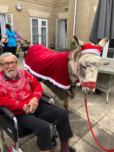 Carousel post from Salisbury Manor Care Home.