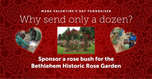 Photo post from Bethlehem Recreation.