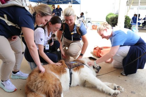 Carousel post from Franciscan Missionaries of Our Lady University.