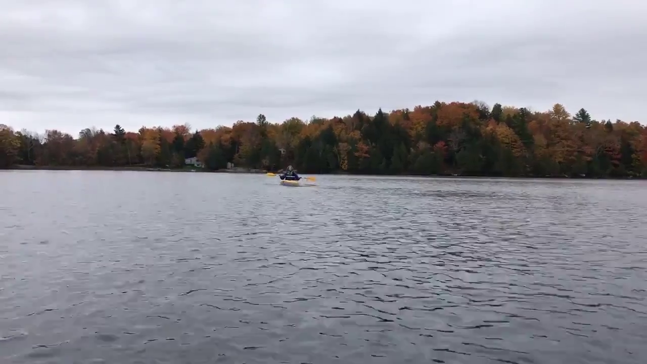 Video post from @TheDementiaSoc.