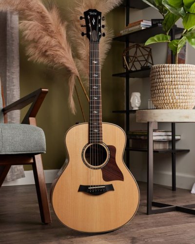 taylor guitar dealer locator