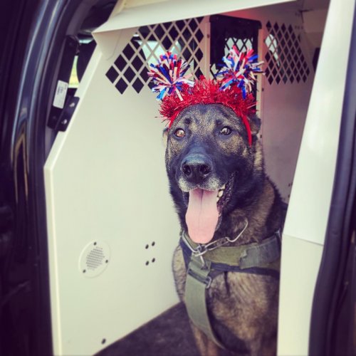 Carousel post from @GrandCoSheriff.