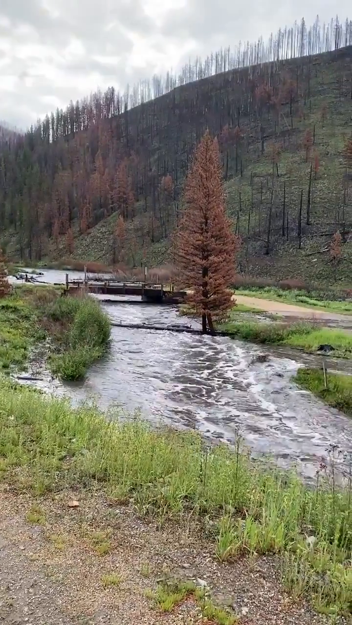 Video post from @GrandCoSheriff.