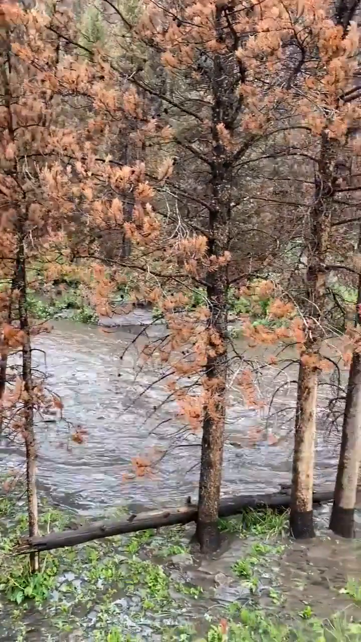 Video post from @GrandCoSheriff.