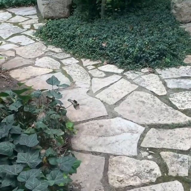Video post from BYU Religious Education.