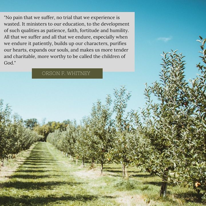 Photo post from BYU Religious Education.