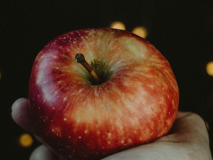 Photo post from BYU Religious Education.