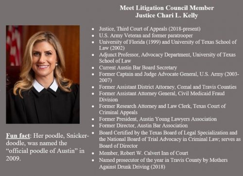 Photo post from Litigation Section of the State Bar of Texas.