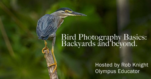 Photo post from Tony Ulchar.