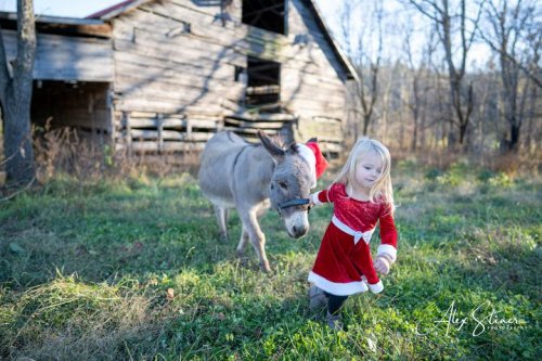 Photo post from Alex Stiner.