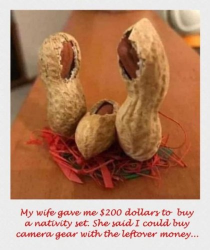 Photo post from Mary Pettigrew Powell.