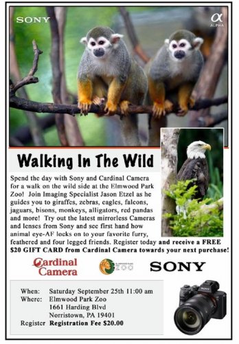 Carousel post from Grace Freret Seelig.