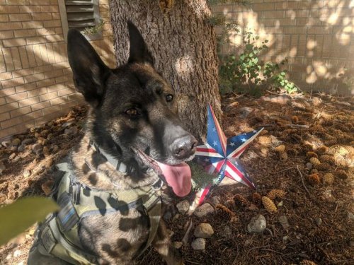 Carousel post from Grand County Sheriff's Office - Colorado.