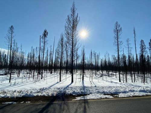 Photo post from Grand County Sheriff's Office - Colorado.