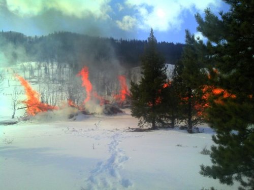 Photo post from Grand County Sheriff's Office - Colorado.