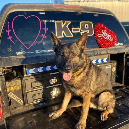 Carousel post from Grand County Sheriff's Office - Colorado.