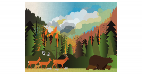 Photo post from Grand County Sheriff's Office - Colorado.