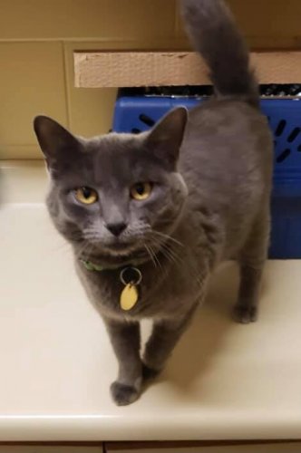 Photo post from Grand County Sheriff's Office - Colorado.