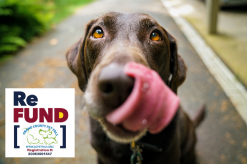 Photo post from Grand County Sheriff's Office - Colorado.