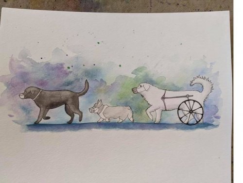 Photo post from Grand County Sheriff's Office - Colorado.