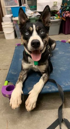 Photo post from Grand County Sheriff's Office - Colorado.