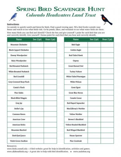 Photo post from Grand County Sheriff's Office - Colorado.