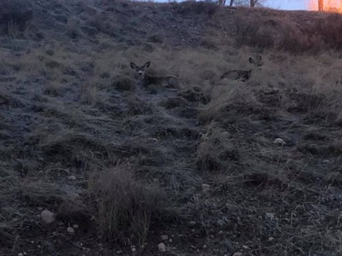 Carousel post from Grand County Sheriff's Office - Colorado.