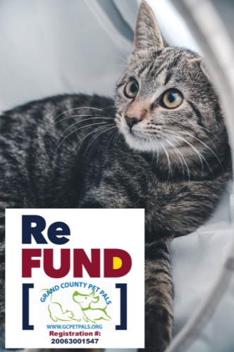 Photo post from Grand County Sheriff's Office - Colorado.