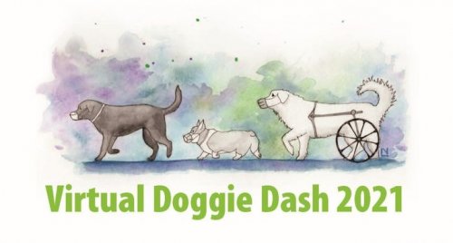 Photo post from Grand County Sheriff's Office - Colorado.