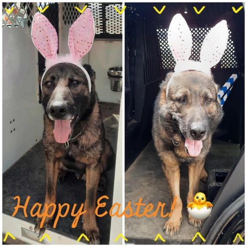 Photo post from Grand County Sheriff's Office - Colorado.