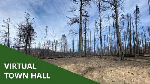 Photo post from Grand County Sheriff's Office - Colorado.