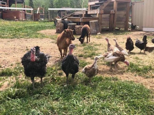 Carousel post from Grand County Sheriff's Office - Colorado.