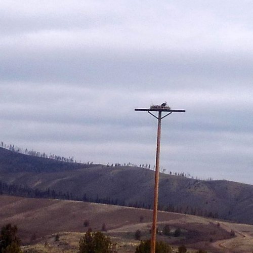 Photo post from Grand County Sheriff's Office - Colorado.