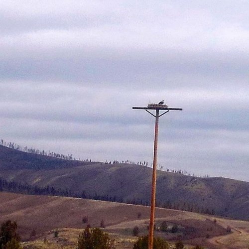 Photo post from Grand County Sheriff's Office - Colorado.