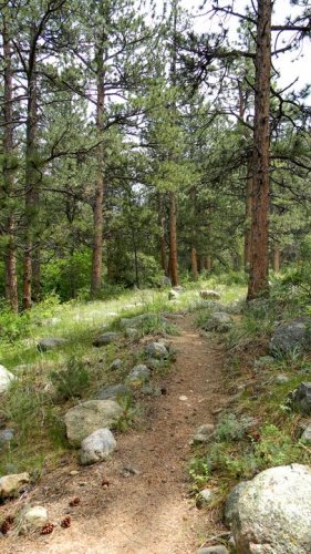 Photo post from Grand County Sheriff's Office - Colorado.