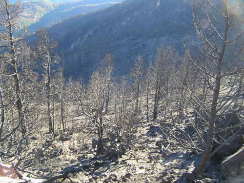 Carousel post from Grand County Sheriff's Office - Colorado.