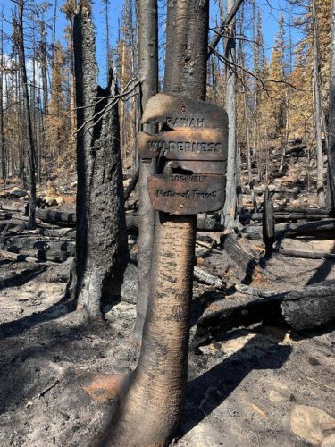 Photo post from Grand County Sheriff's Office - Colorado.