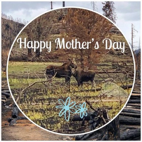 Photo post from Grand County Sheriff's Office - Colorado.